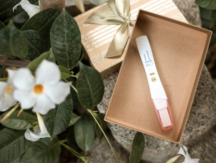 ovulation, pregnancy test kit