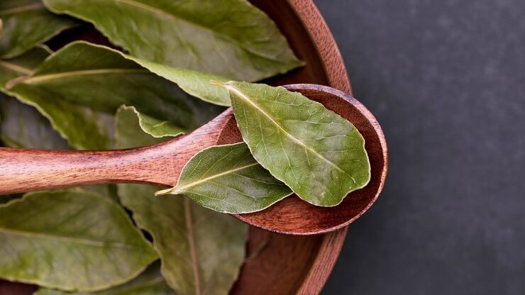 Bay leaves displayed on a wooden spoon and wooden bowl