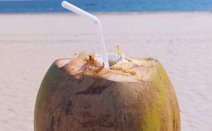 Picture of coconut fruit with straw to sip coconut water