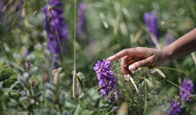 black woman touching flowers display healthy nails