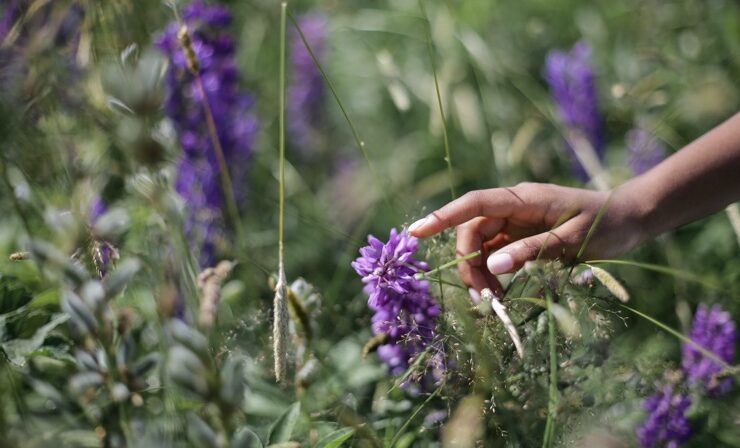 black woman touching flowers display healthy nails