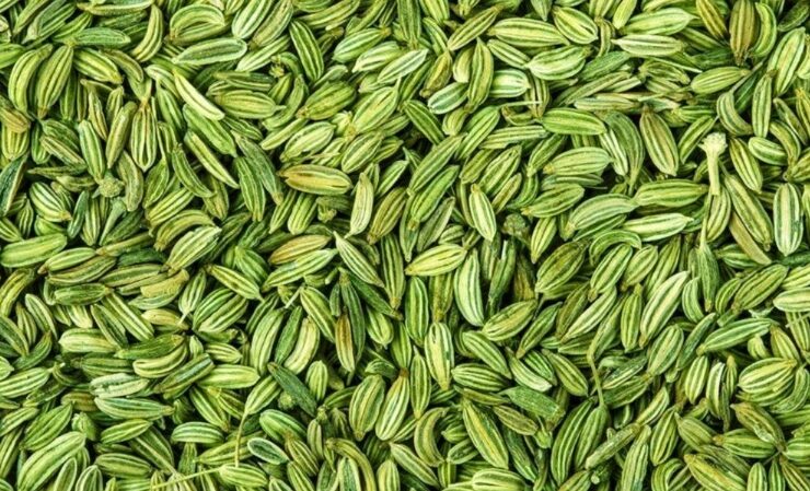 fennel seeds for bloating