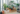 African houseplants on display in a home