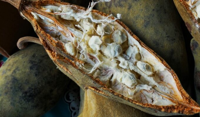 An open baobab fruit displaying the seeds
